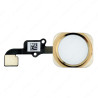 Καλωδιοταινία Home Button iPhone 6 / 6 Plus - Λευκό Χρυσό