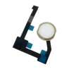 Καλωδιοταινία κεντρικού πλήκτρου Home button για iPad Air 2 Χρυσό